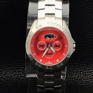 FOSSIL ~ Arkansas Razorbscks